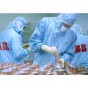 Вакуумні Переривники І Литі Полюса Для Апаратів Середнього Напруги